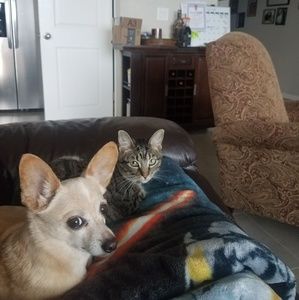 Meet your Posher, Jenny